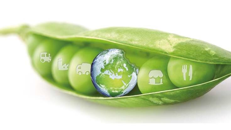 Entrevista a Vicente Domingo