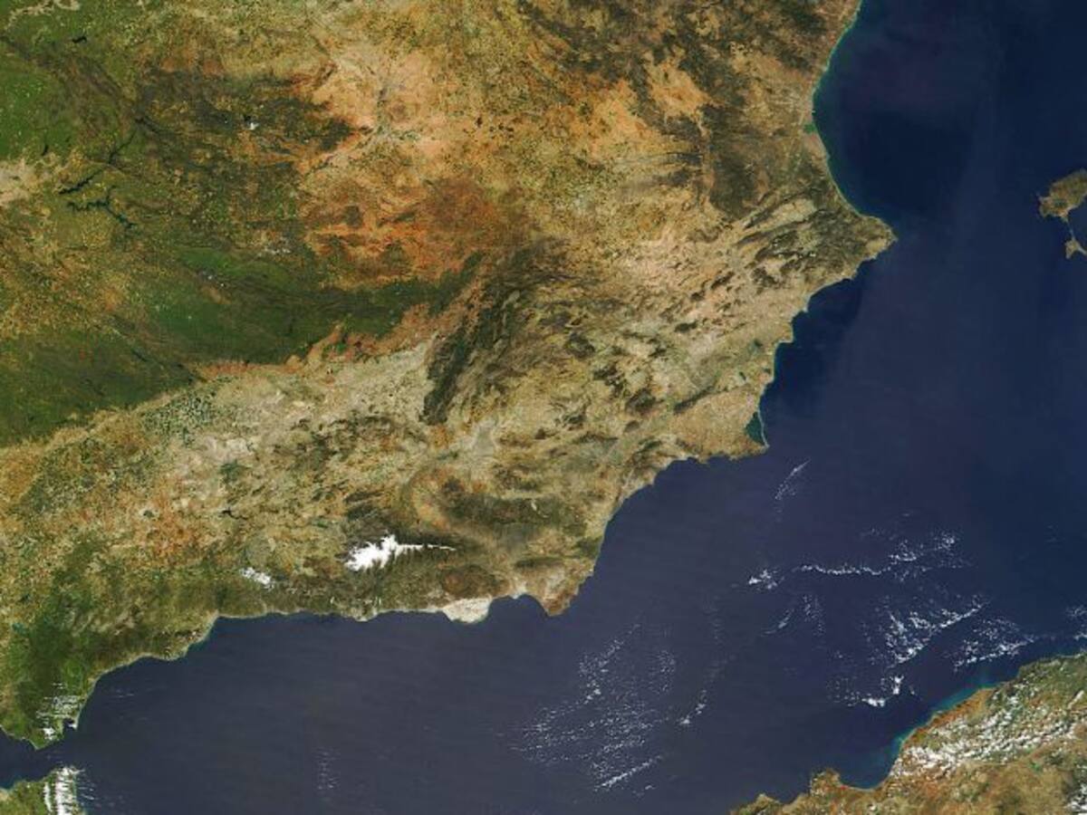 Cádiz, con 63.374 empresas, se consolida como una de las principales aportadoras de economía a Andalucía