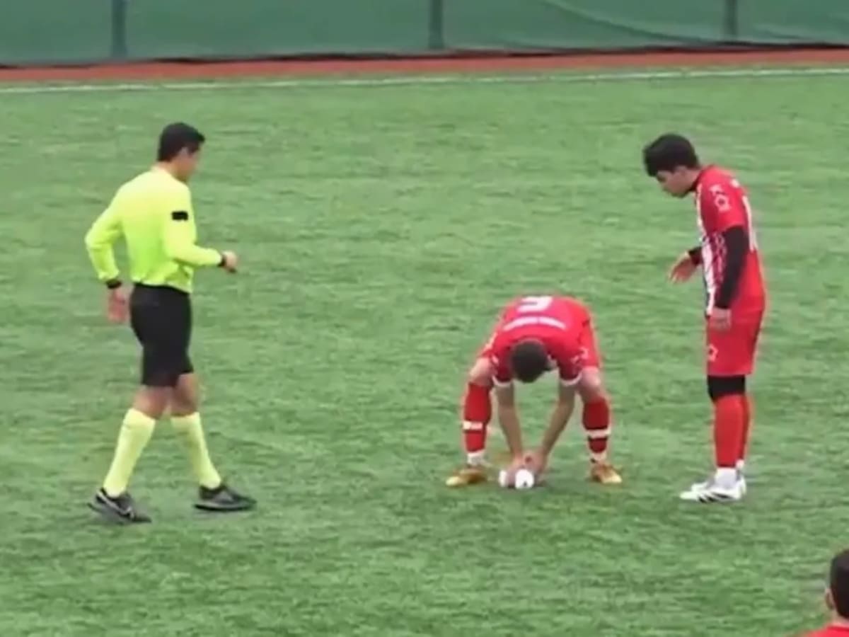 Milagro en el fútbol: un jugador consigue reanimar a una gaviota tras un balonazo