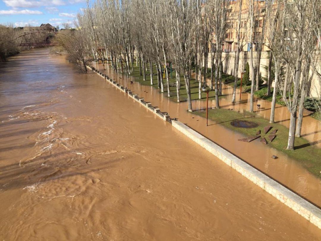 Estado del Duero a su paso por el paseo El Barriles a primera hora de este jueves