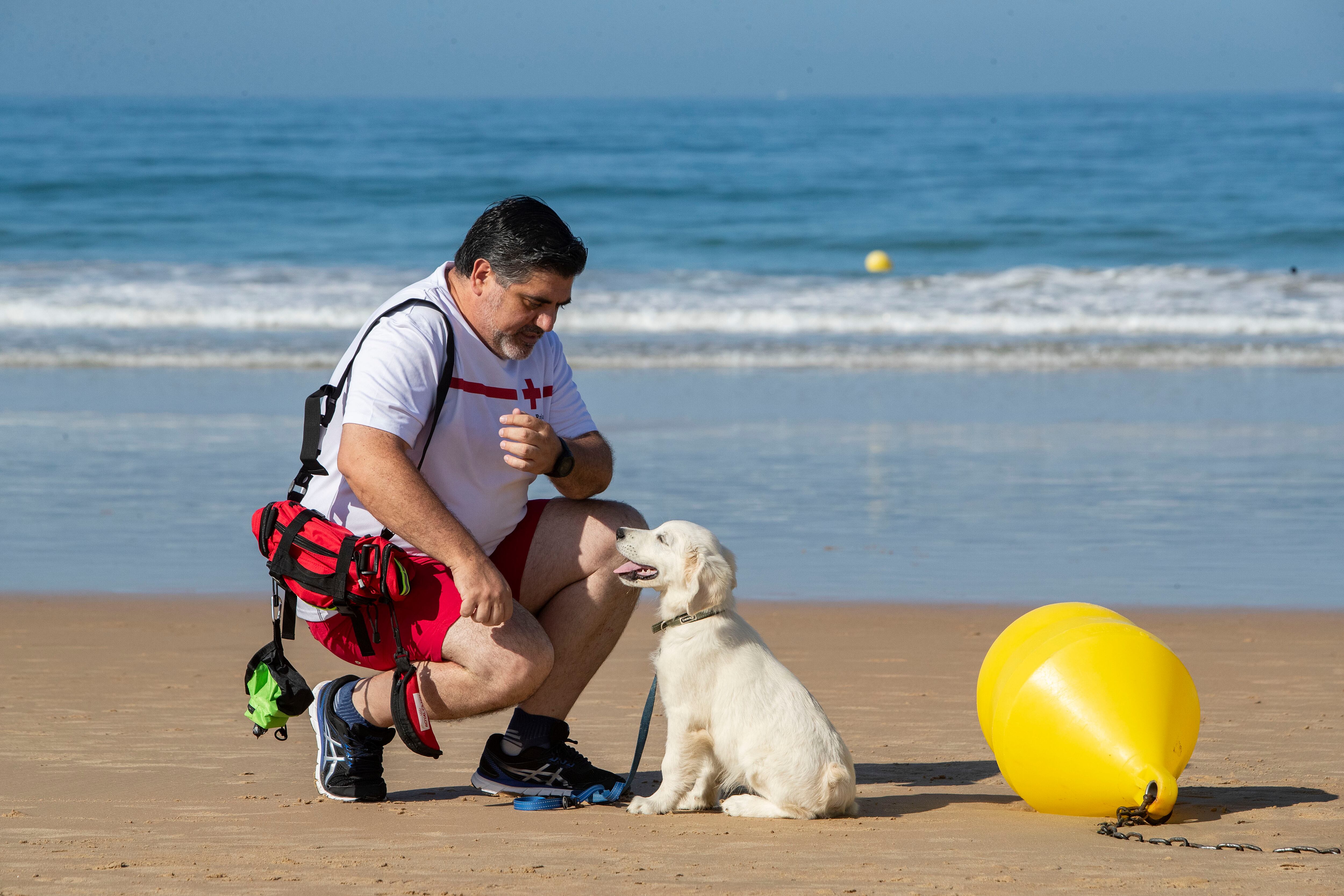 CHICLANA DE LA FRONTERA (CÁDIZ), 04/08/2023.- El cuidador y preparador canino, Juan Luis de Castellví, junto a Chui, un cachorro de Golden Retriever que se prepara como apoyo a los socorristas del puesto de la Cruz Roja en la playa de La Barrosa en Chiclana de la Frontera, este viernes, y que se convertirá en el primer socorrista canino de la Cruz Roja en España. EFE/ Román Ríos
