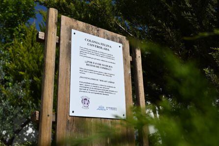 Señalización de una de las colonias felinas controladas en Linares