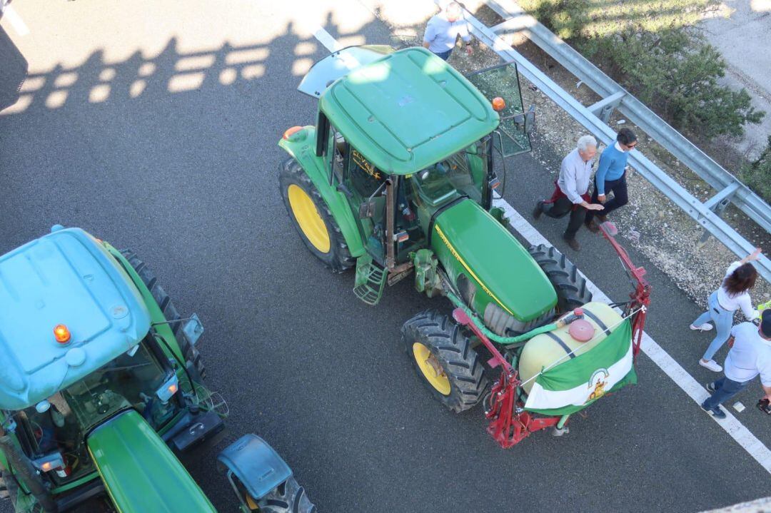 Tractorada del sector olivarero andaluz en Córdoba