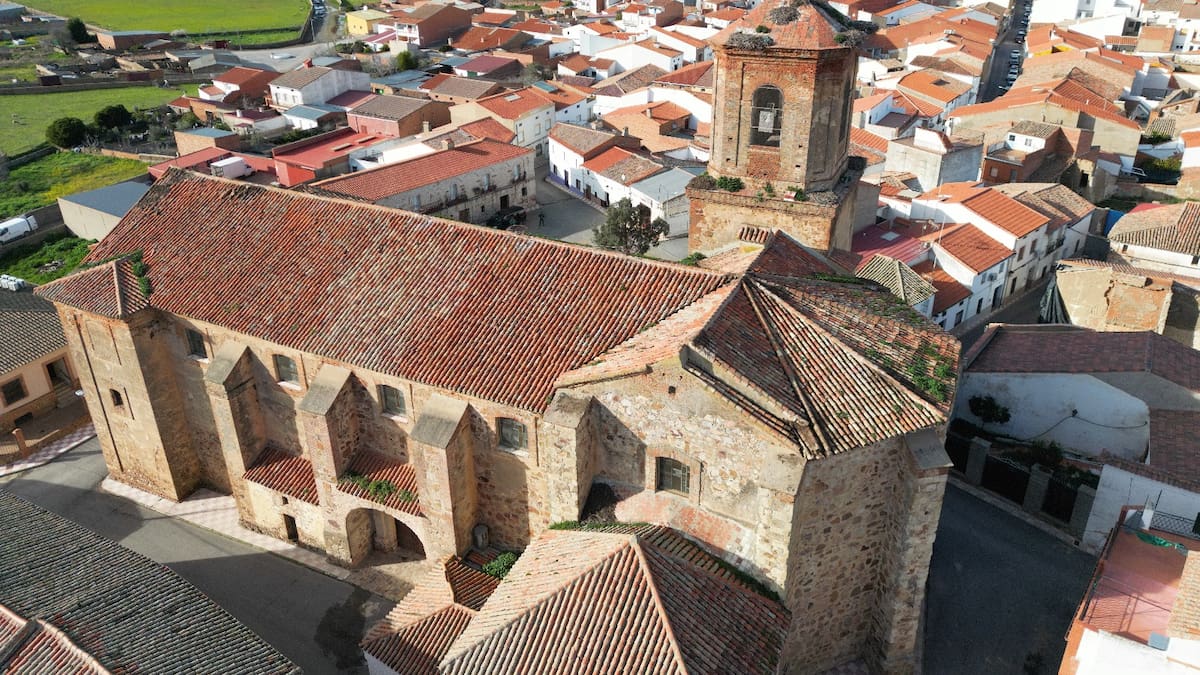 Cuándo y con qué motivación se pueden retirar nidos de cigüeñas