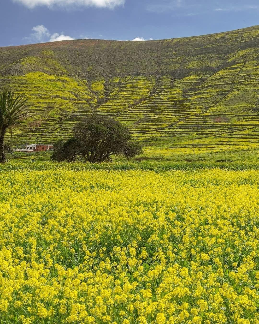 El Paisaje Protegido de Vallebrón, en La Oliva