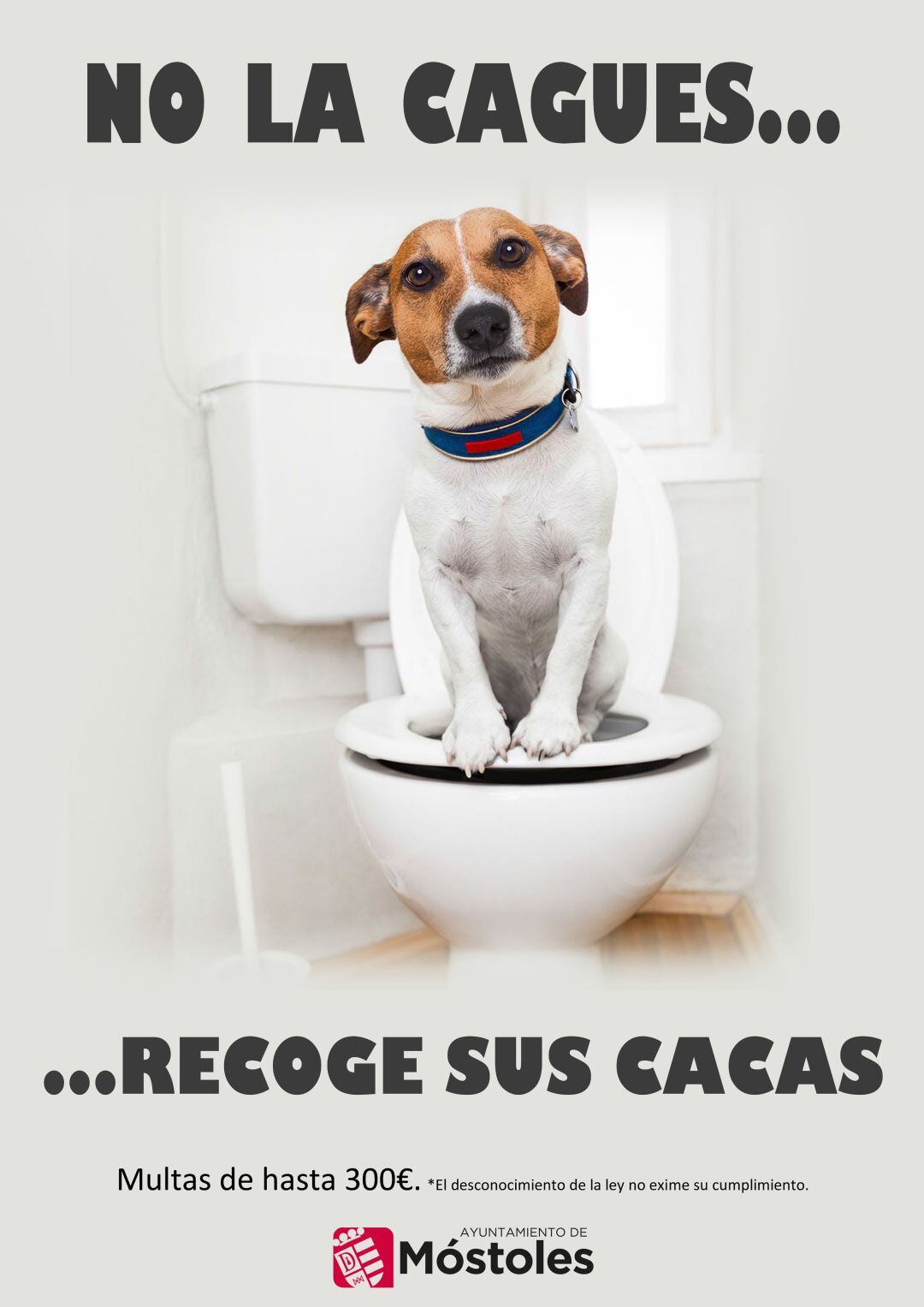 Cartel de la campaña para concienciar sobre la recogida de excrementos caninos