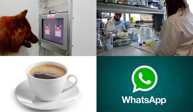 Las imágenes más destacadas de la tercera semana de febrero en ‘Ciencia y Tecnología’