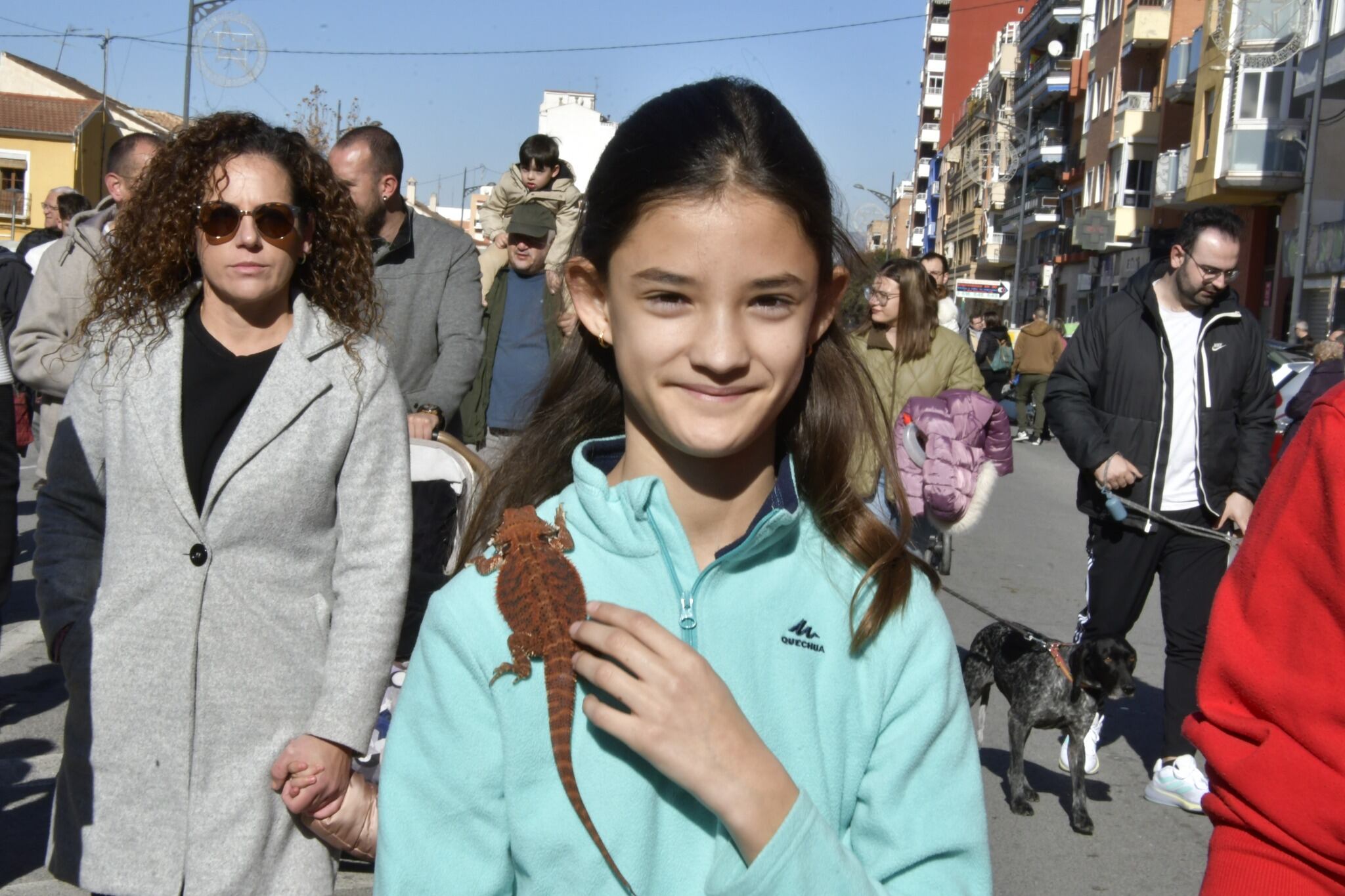 Desfile de San Antón. Villena