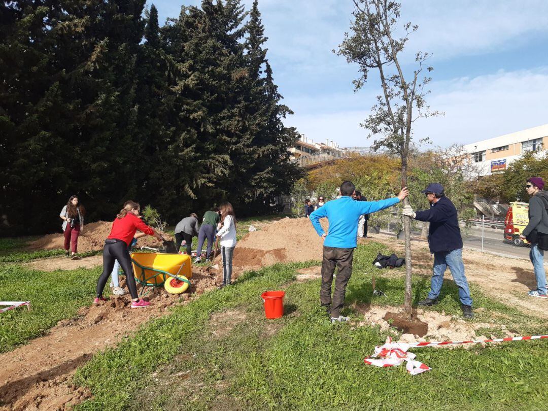 Día Mundial del Medio Ambiente