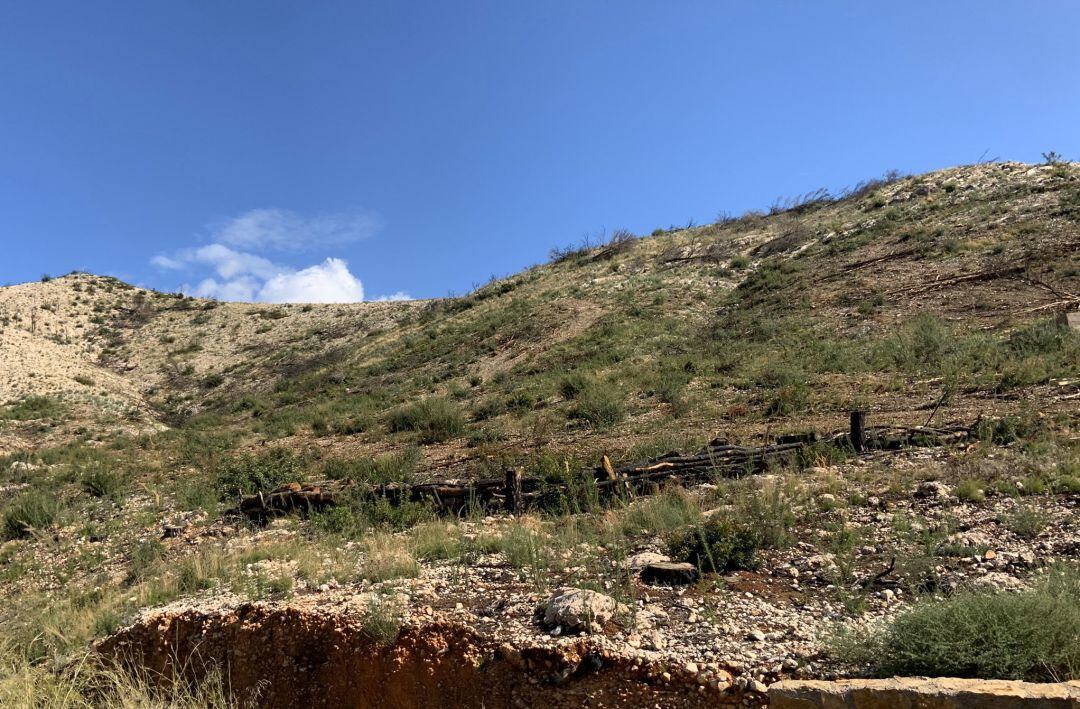 Zona afectada por el incendio de Marxuquera