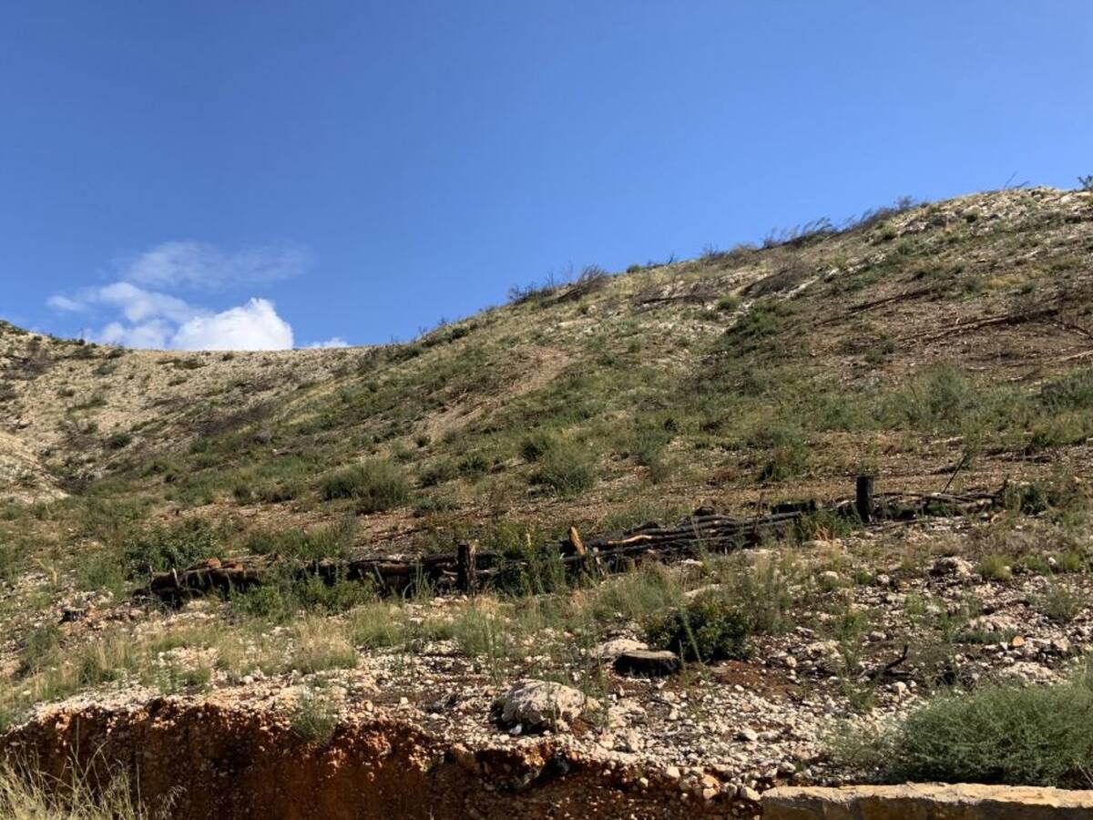 El PP de Gandia denuncia dejadez en la prevención de incendios y el gobierno los acusa de espantar y mentir