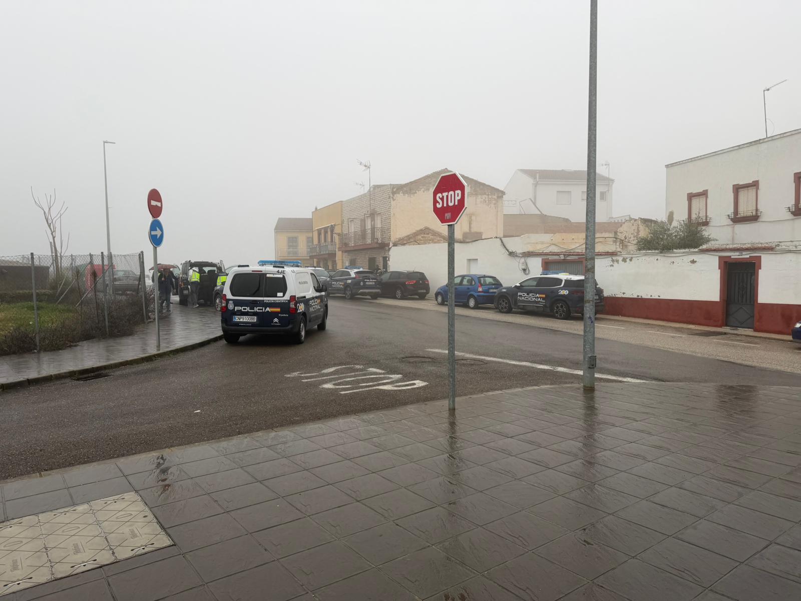 Operativo policial que se ha saldado con la detención de un varón en Linares.