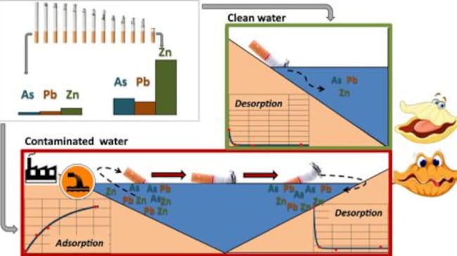 Colillas en el mar y sus efectos