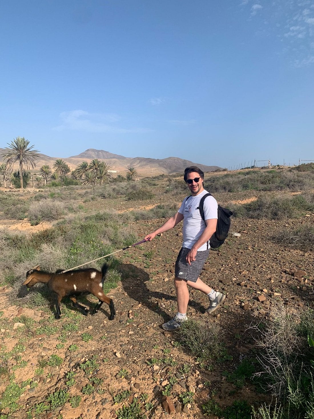 Cabra trekking Fuerteventura. Tripadvisor