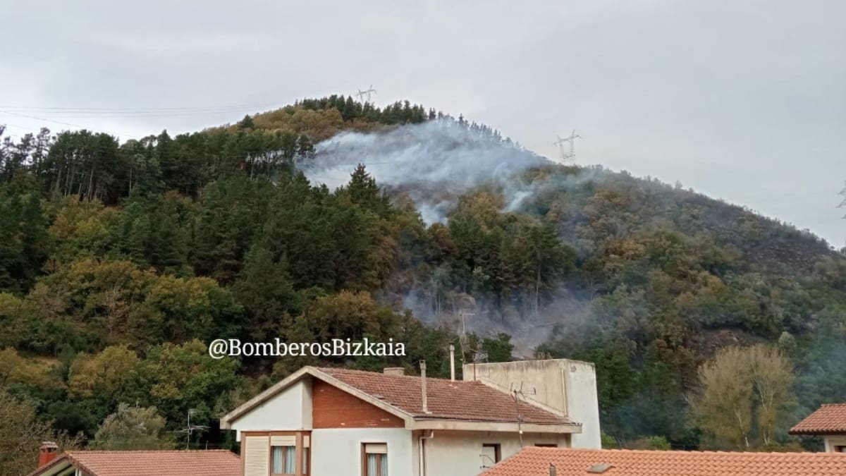 Incendio forestal en Güeñes: los bomberos trabajan en una zona de difícil acceso entre La Quadra y Zaramillo