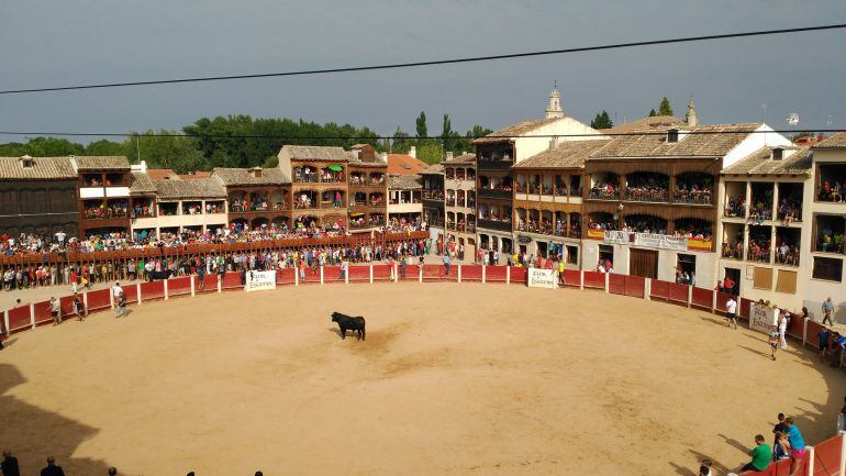 El coso peñafielense es el epicentro de las fiestas.