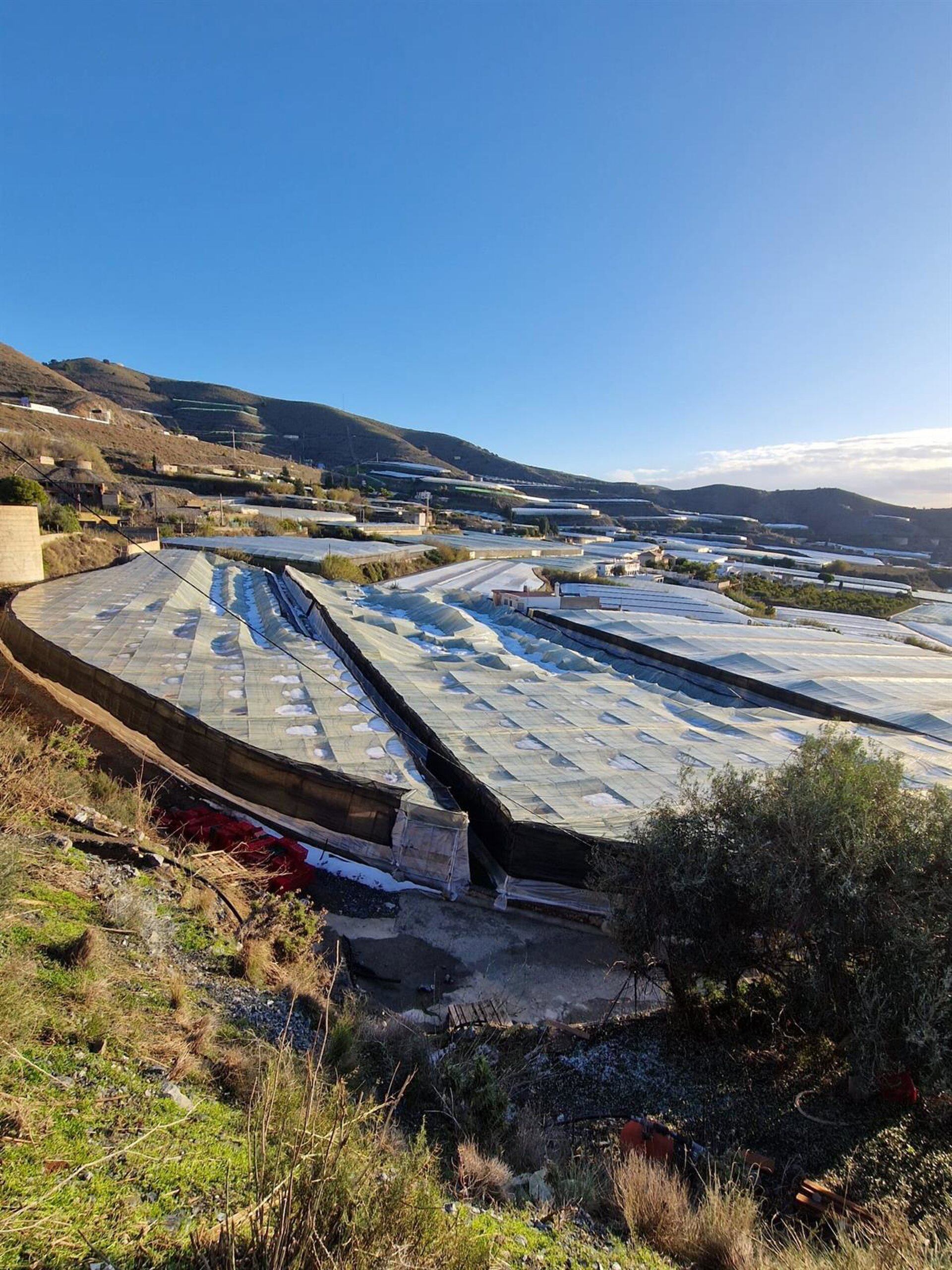 29/12/2025 Daños del temporal en explotaciones agrarias en Carchuna (Motril, Granada)
POLITICA ANDALUCÍA ESPAÑA EUROPA GRANADA AUTONOMÍAS
COAG