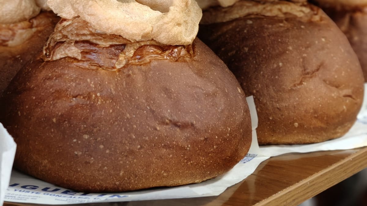 Conexión desde el Horno Miguelín de Alberic