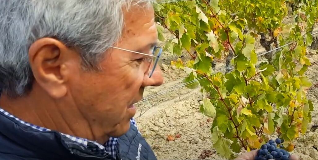 Fernando Remírez de Ganuza