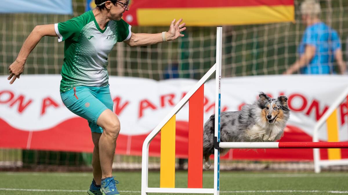 Entrevistamos a Ana Barbé, directora de la escuela y club de la Asociación Educando Perros de Pinto.