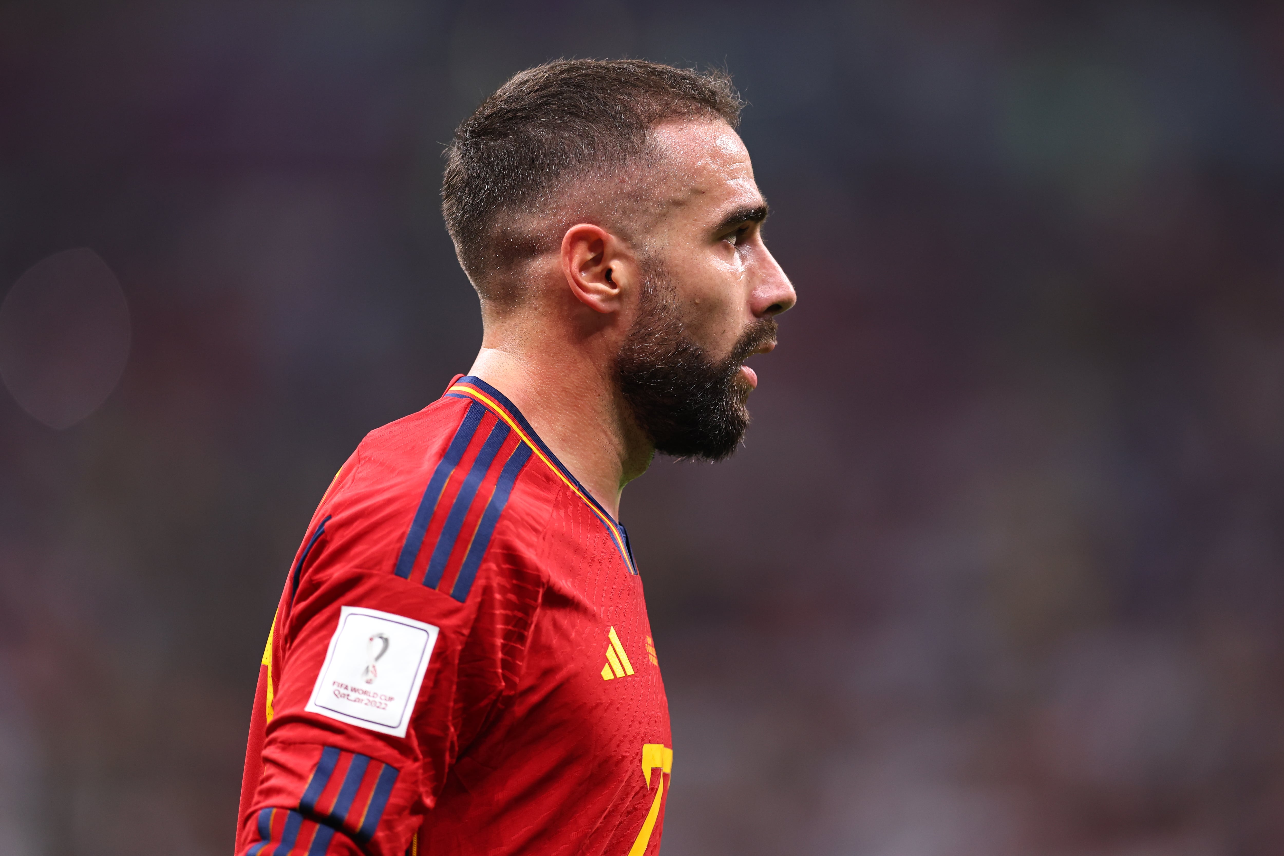 Carvajal en el encuentro ante Alemania.