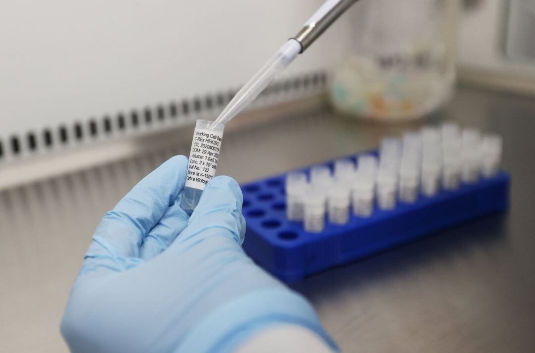 Científicos trabajando en una vacuna para el COVID-19.  