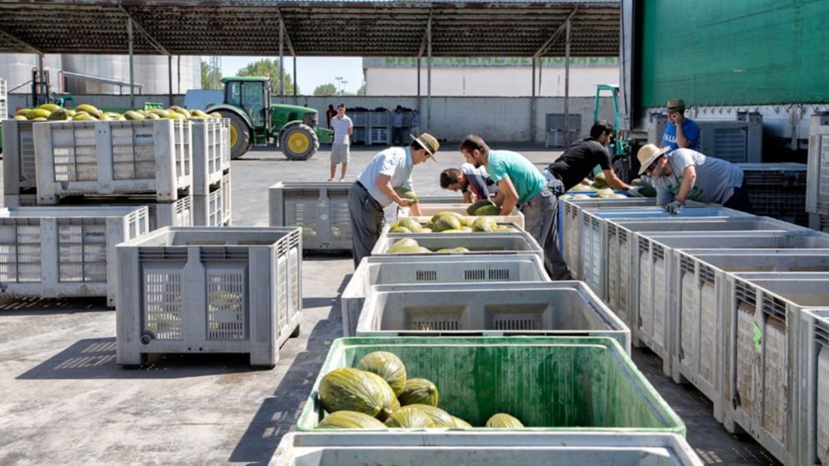 Mix Cristóbal Jiménez