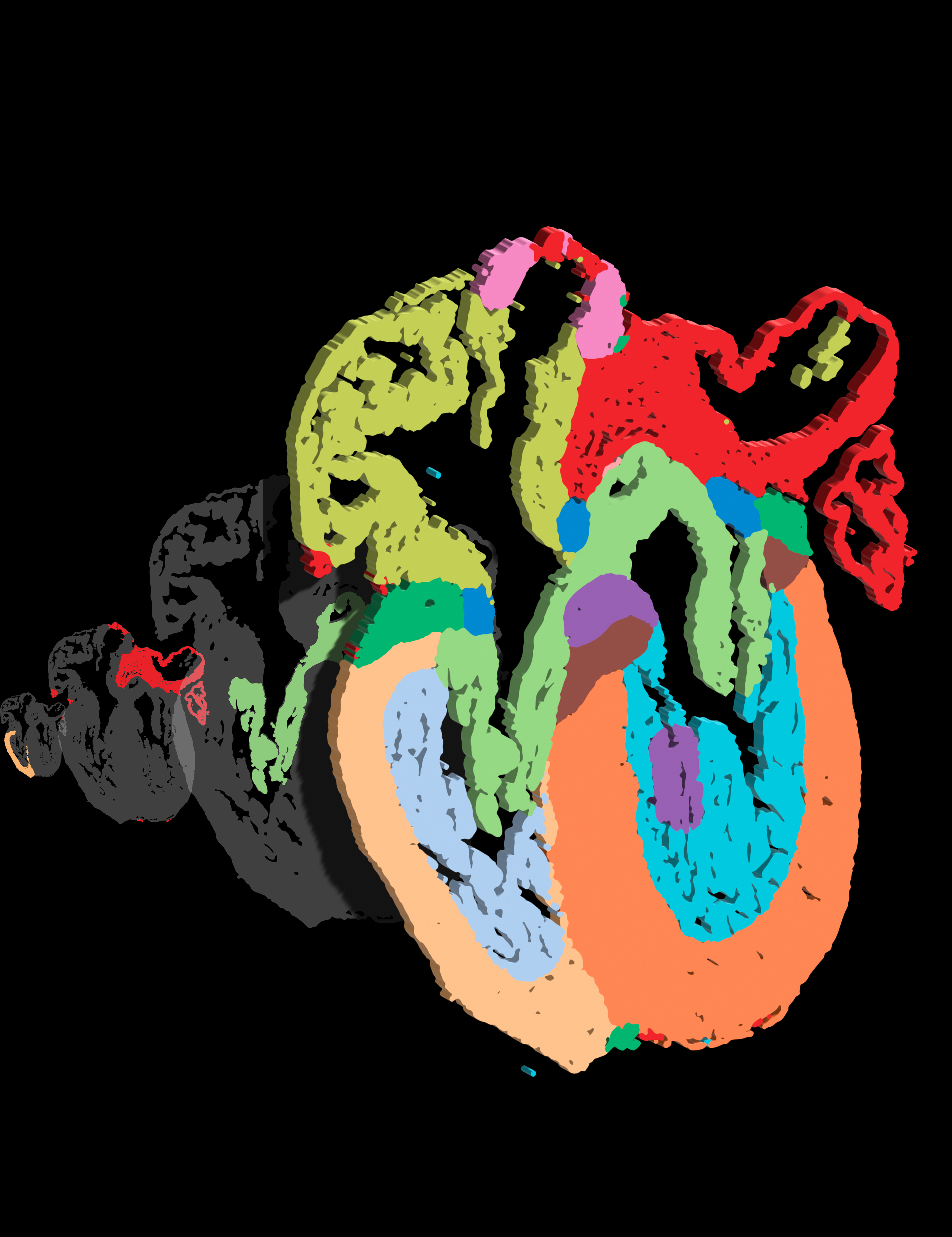 Mapa de tipos de células del corazón. Crédito: Jessyka Díaz