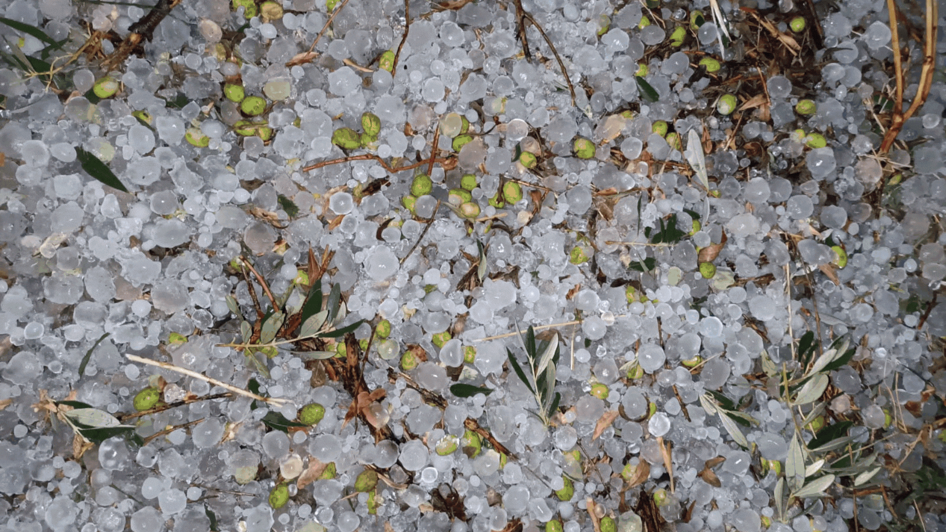 Intensa granizada en la zona oriental de la provincia de Huesca