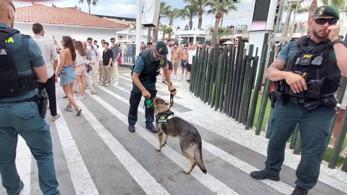 La Guardia Civil denuncia a 172 personas durante el fin de semana de apertura de las discotecas de Ibiza