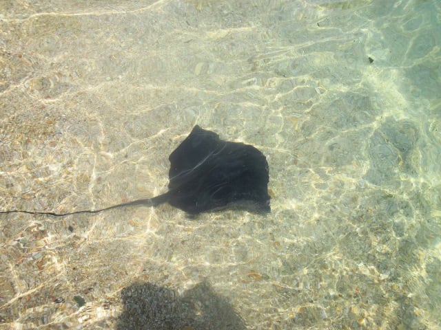 La rajada vista a Blanes. Foto: Pablo Pérez Fernández