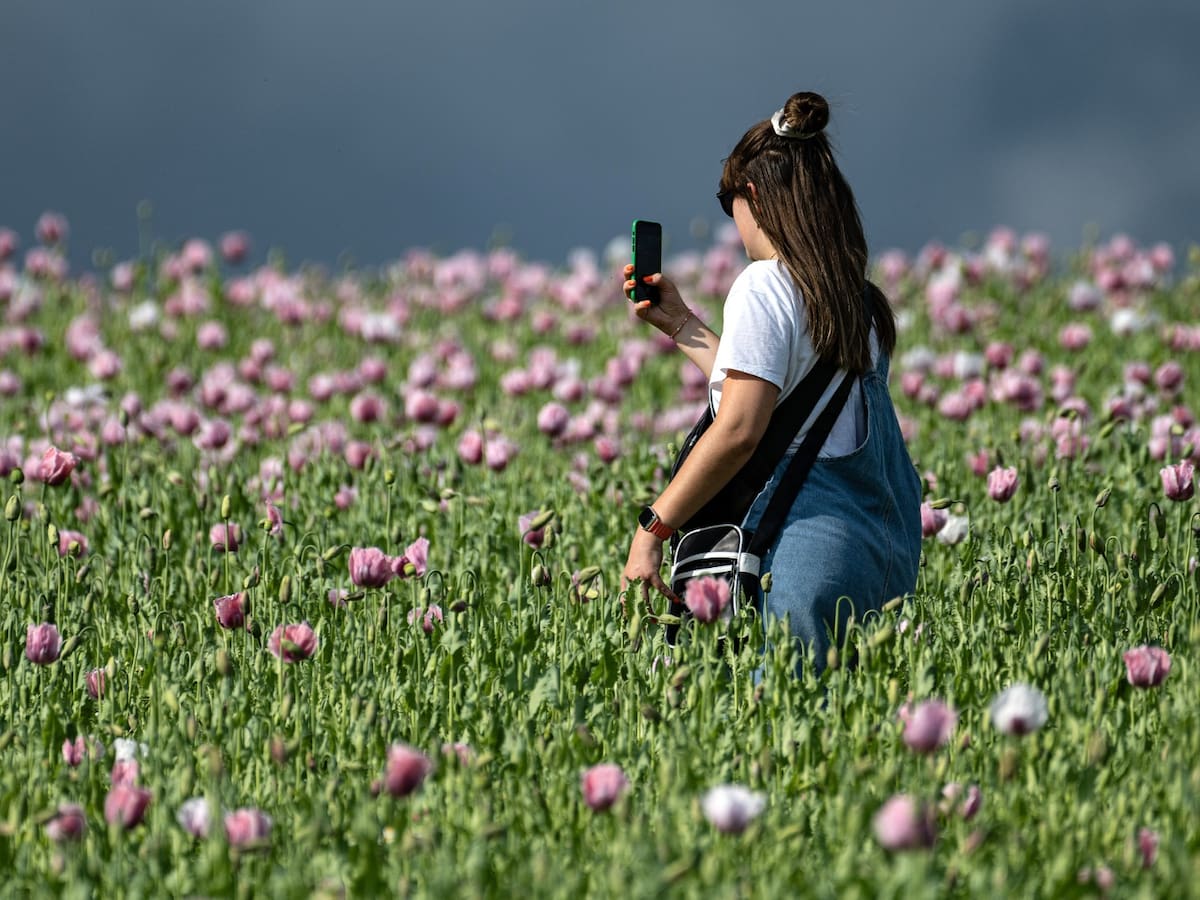 Iker Aguirre (UAGA): "Hay urbanitas que están acribillando a denuncias a los ganaderos"