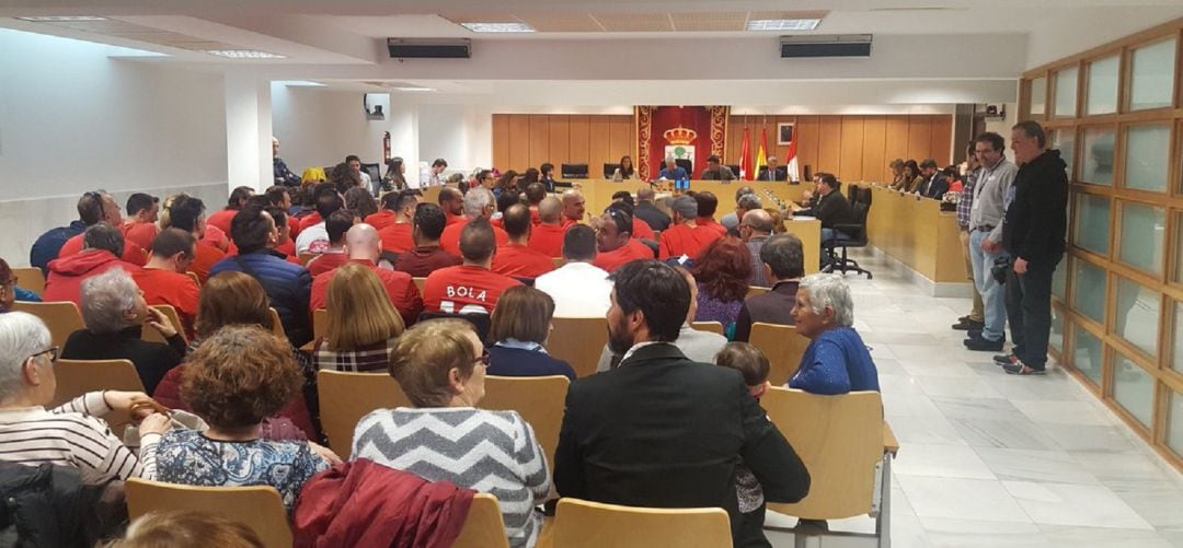 Pleno municipal de febrero en Sanse