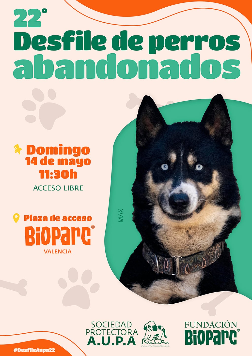 22 Desfile de perros abandonados Fundación Bioparc