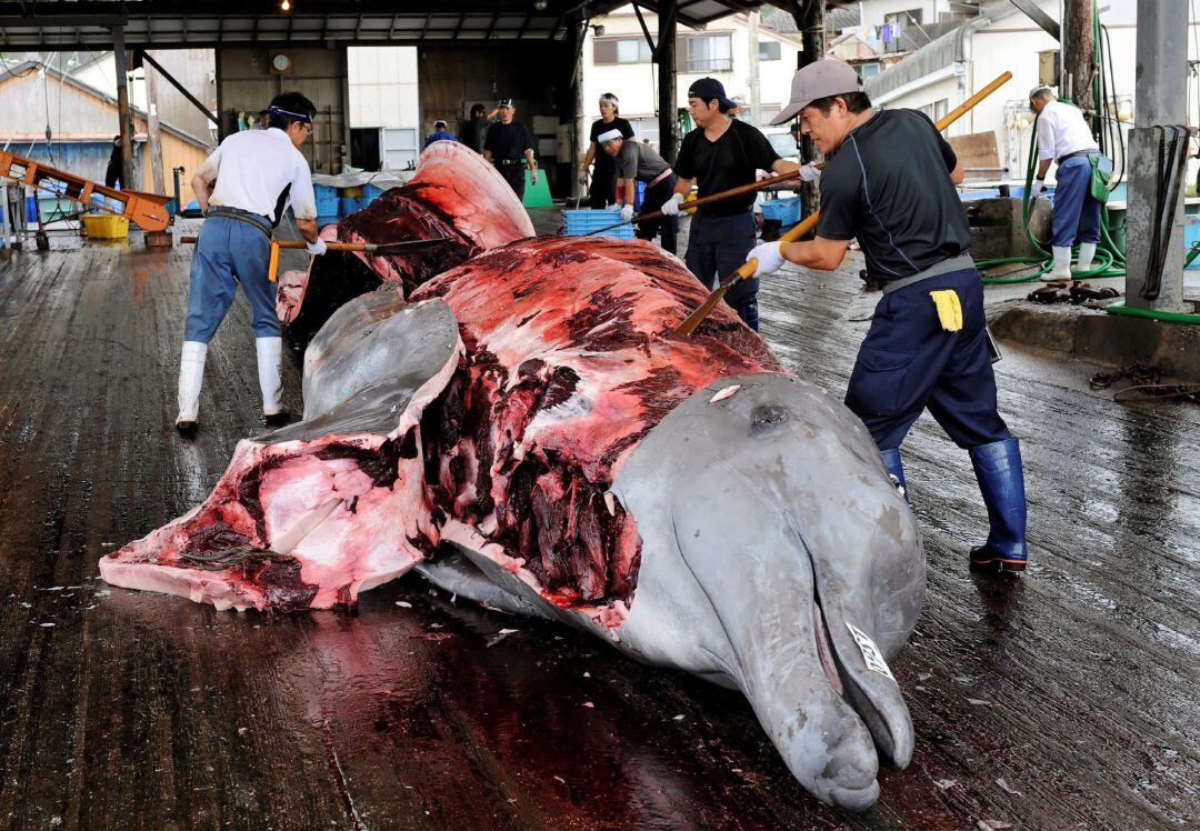 Despiece de una ballena en un puerto japonés. 