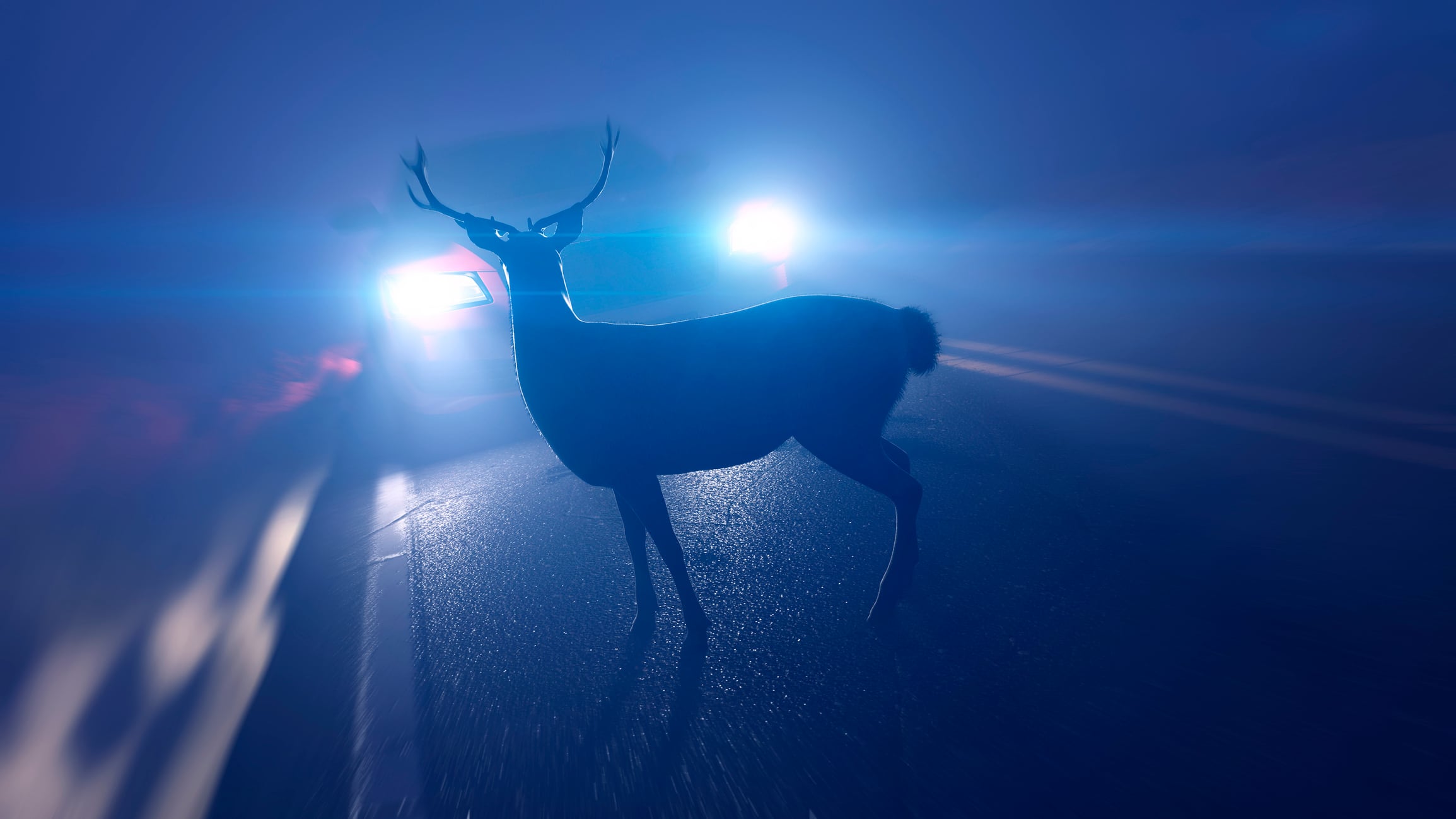 Illustration of a deer in front of a car.