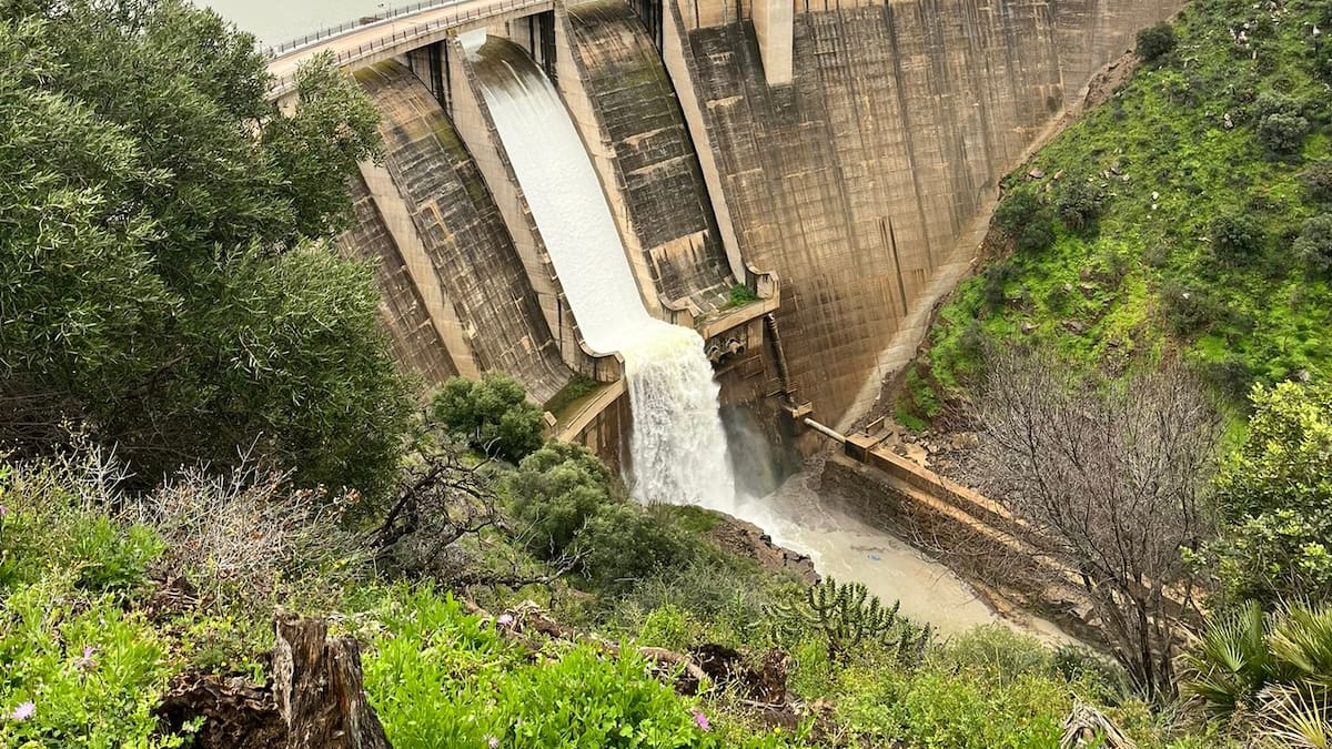 "Un mes más y se podrán levantar las restricciones", Penélope Gómez, concejala de Sostenibilidad Medioambiental