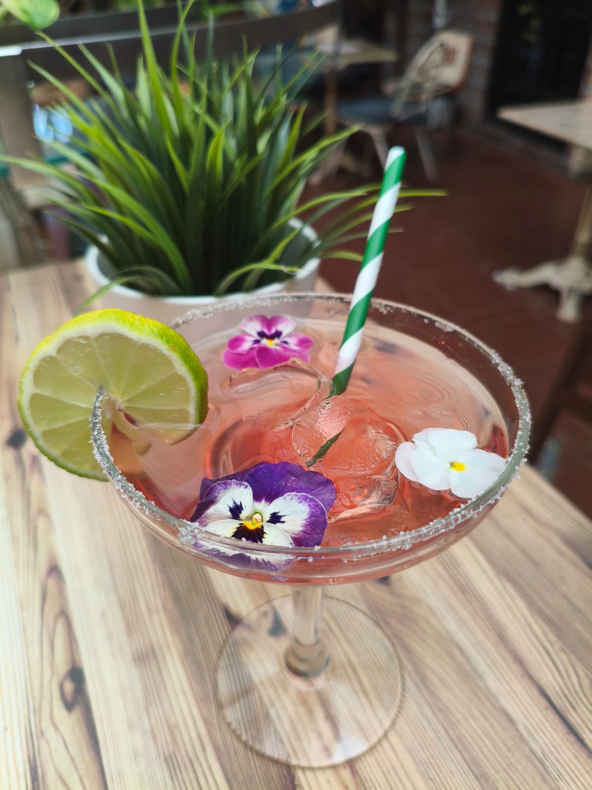 La propuesta de Botanic Bar Legendario