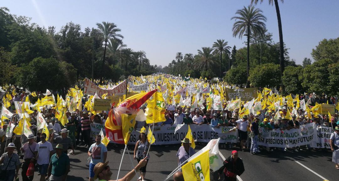 Manifestación celebrado en Sevilla el pasado mes de julio de 2019 en contra de los bajos precios del AOVE.