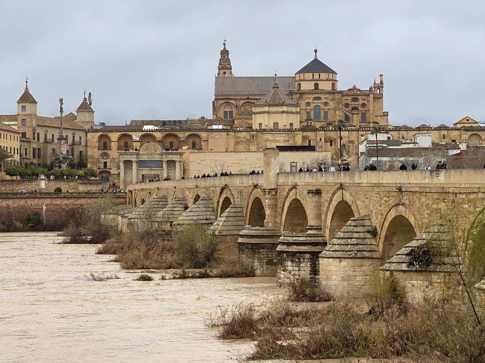 Río Guadalquivir a su paso por Córdoba el pasado 25 de enero de 2026