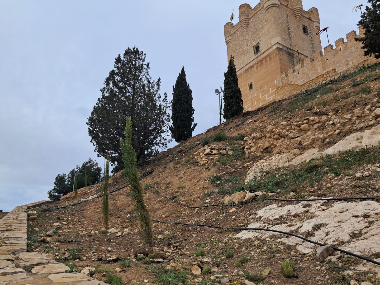 plantación castillo