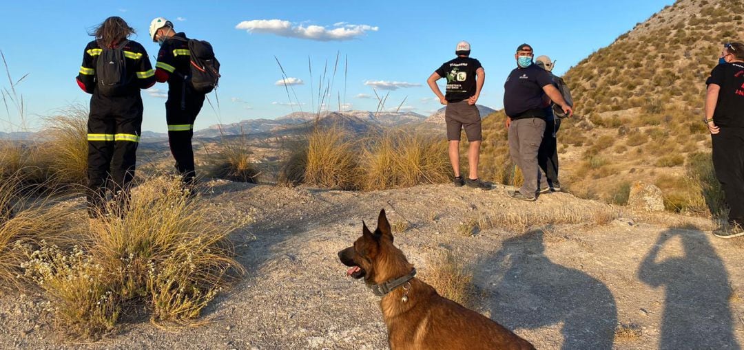 Voluntarios y técnicos buscan alguna pista del paradero de María Josefa Padilla ayudados por un perro.