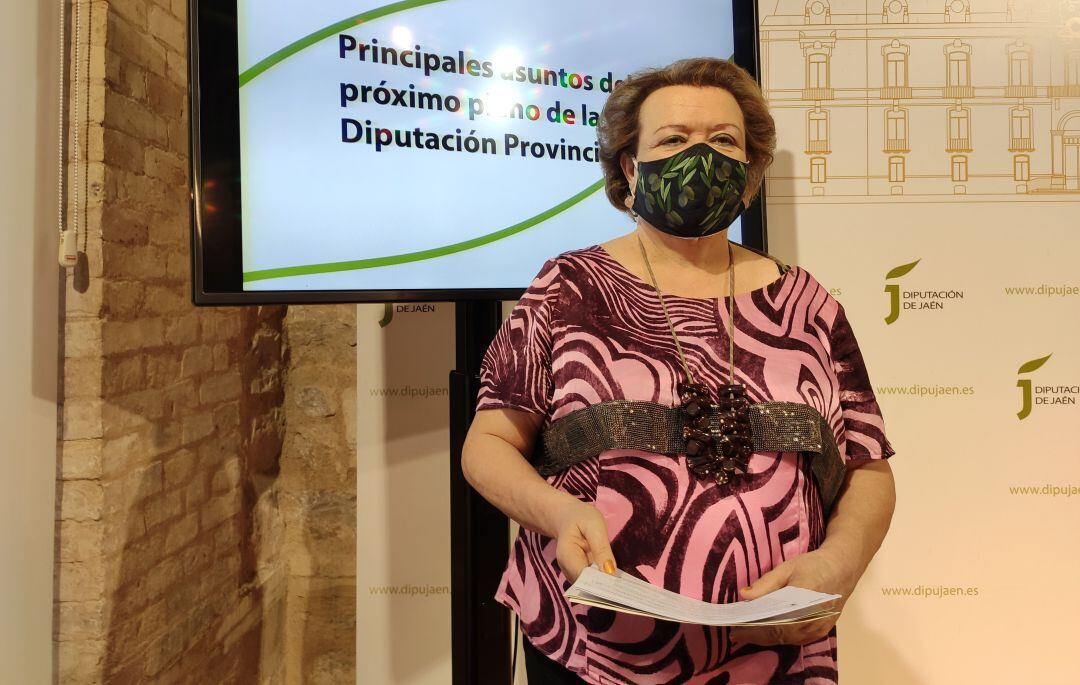 Diputación cederá, este viernes en pleno, más suelo para la Ciudad Sanitaria según ha informado la vicepresidenta segunda de la Diputación, Pilar Parra