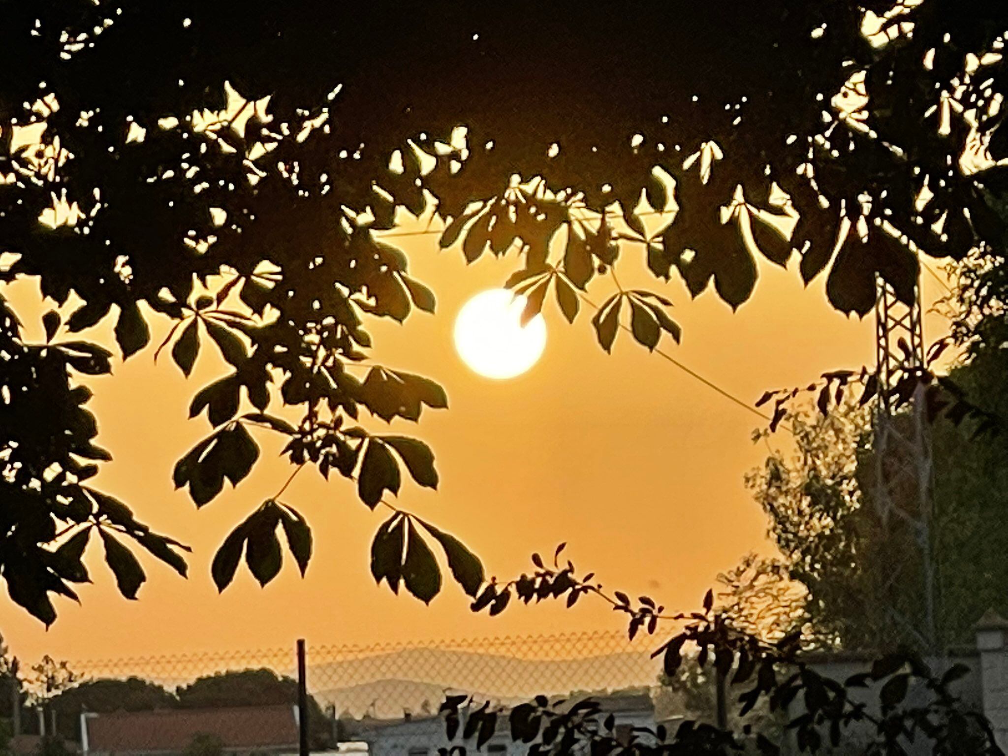 La provincia de León se encuentra inmersa en una fuerte ola de calor / @meteobedunia