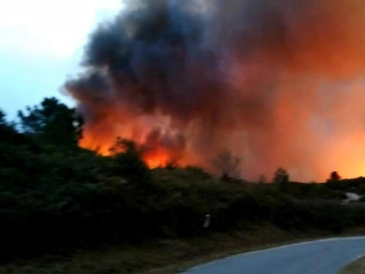 El monte de Vigo revive de sus cenizas dos años después de los incendios