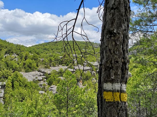 Ciudad encantada de Villalba de la Sierra (Cuenca).