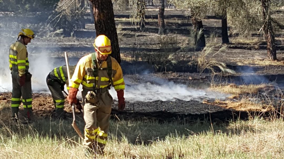 Trabajos de extincion del incendio de Nieva del pasado 2017