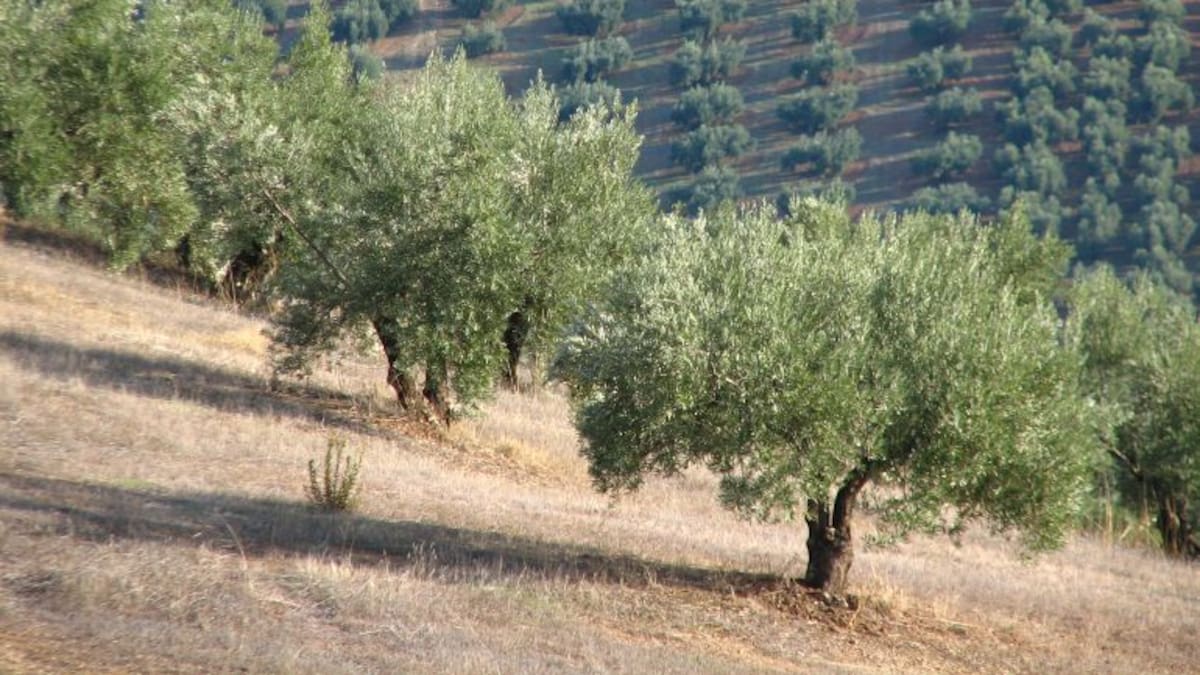 Denuncian a una empresa por no pagar a sus 'empleadas'