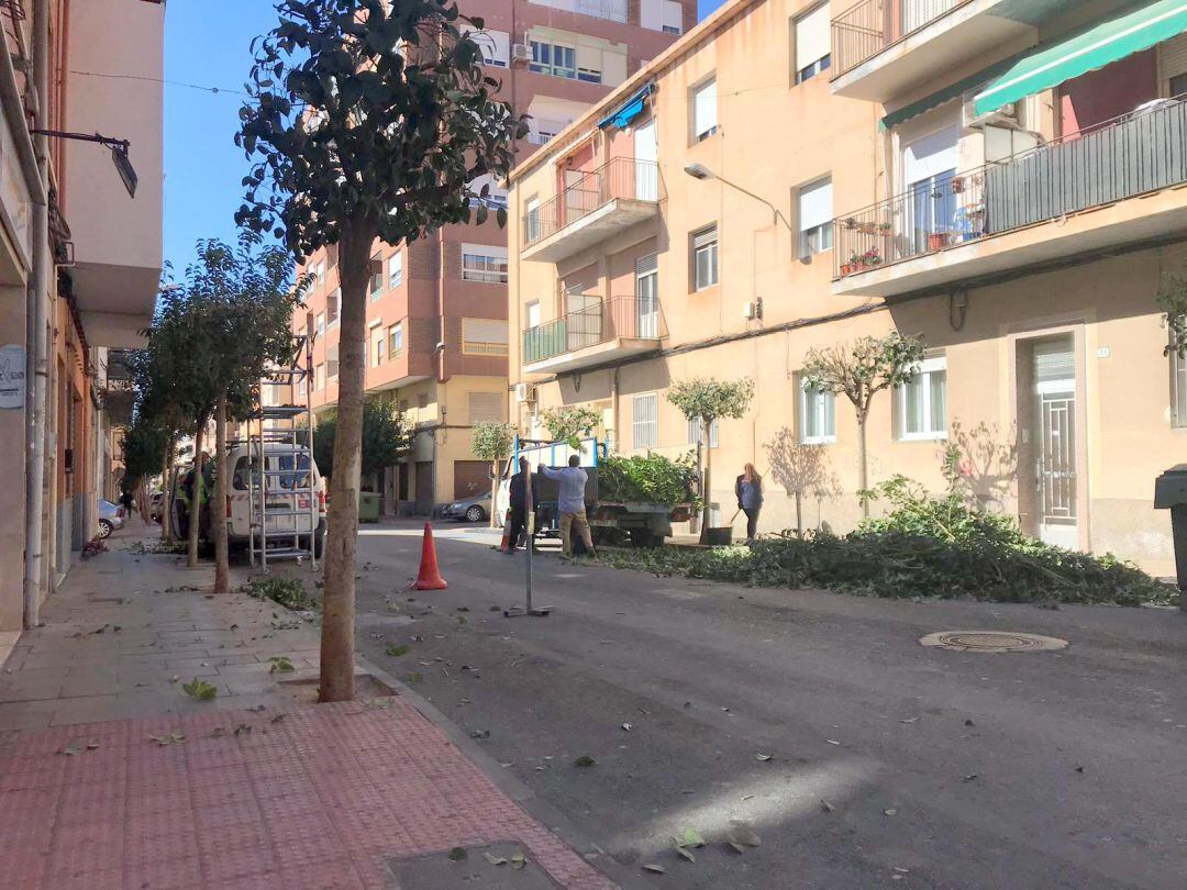 Poda en la calle Murillo de Elda
