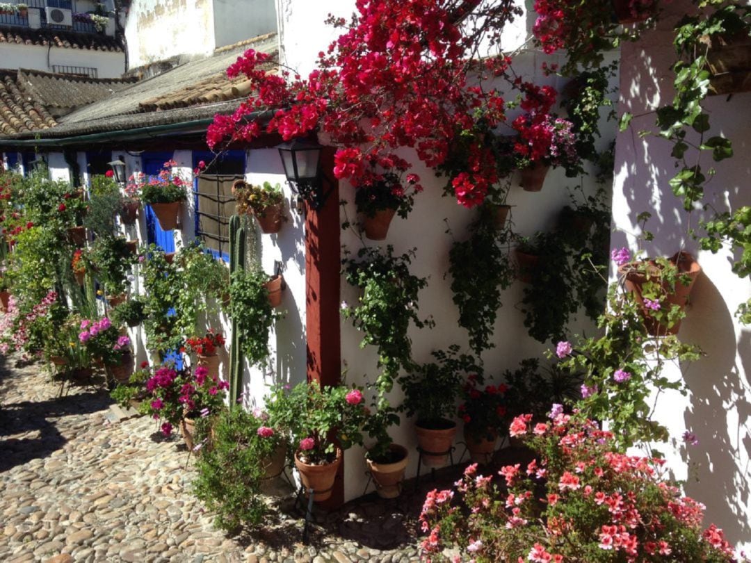 Patios de Córdoba